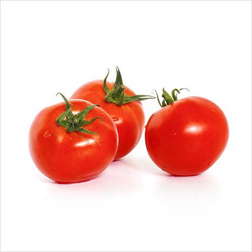 [토마토] 조봉대(장수)